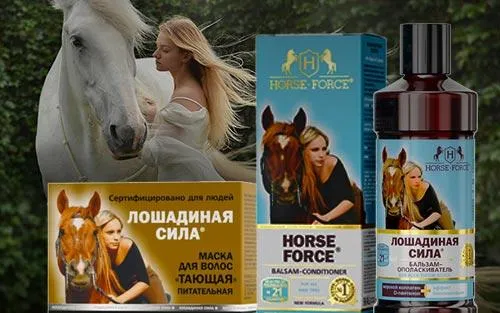 Лошадиная сила